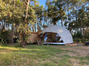 Casa domo en medio de la naturaleza